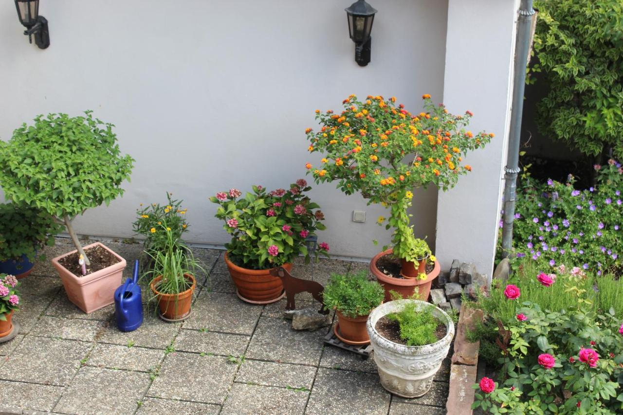 Auszeit Im Rheingau Apartman Eltville am Rhein Kültér fotó